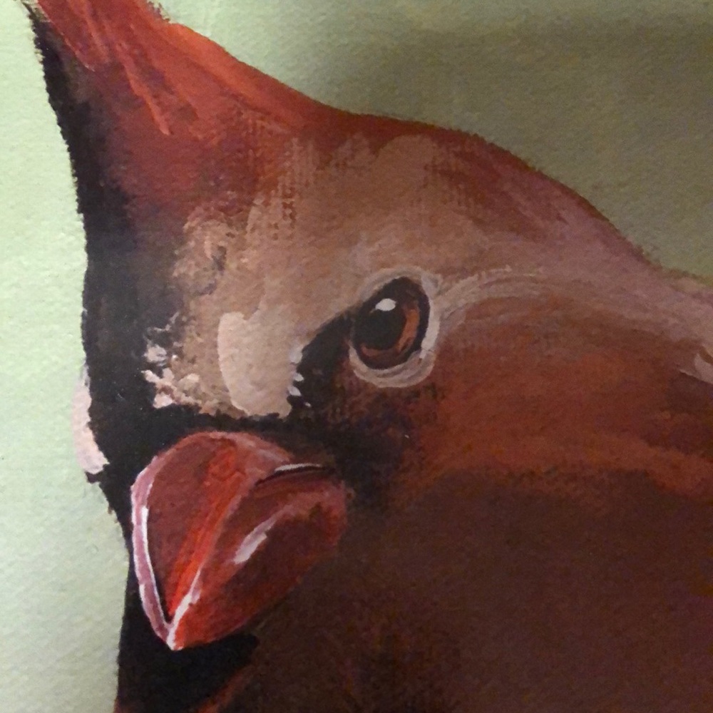 Meet your Posher, Thomas